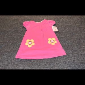 Carter’s Baby Dress (9 months)